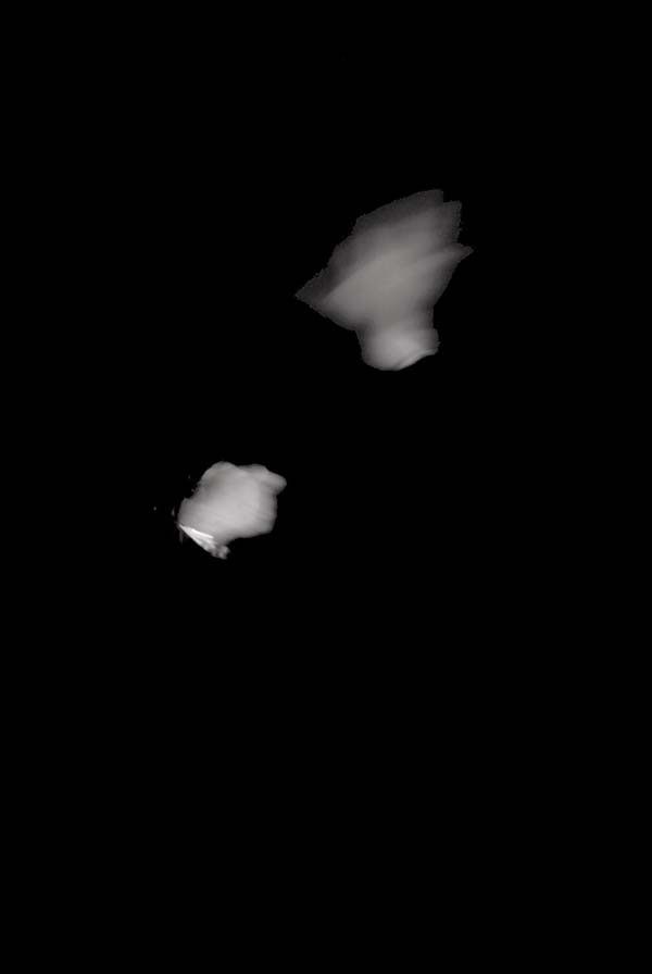 h-DXX_7065.jpg.jpg