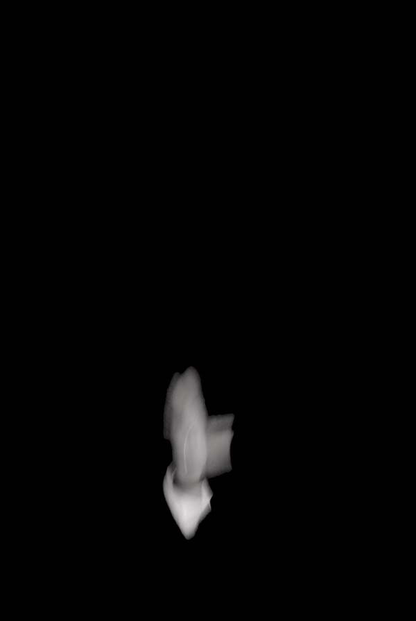 h-DXX_7161.jpg.jpg